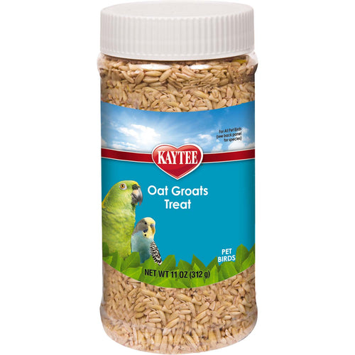 Kaytee Oat Groats Parrot Training Treat - 11 oz