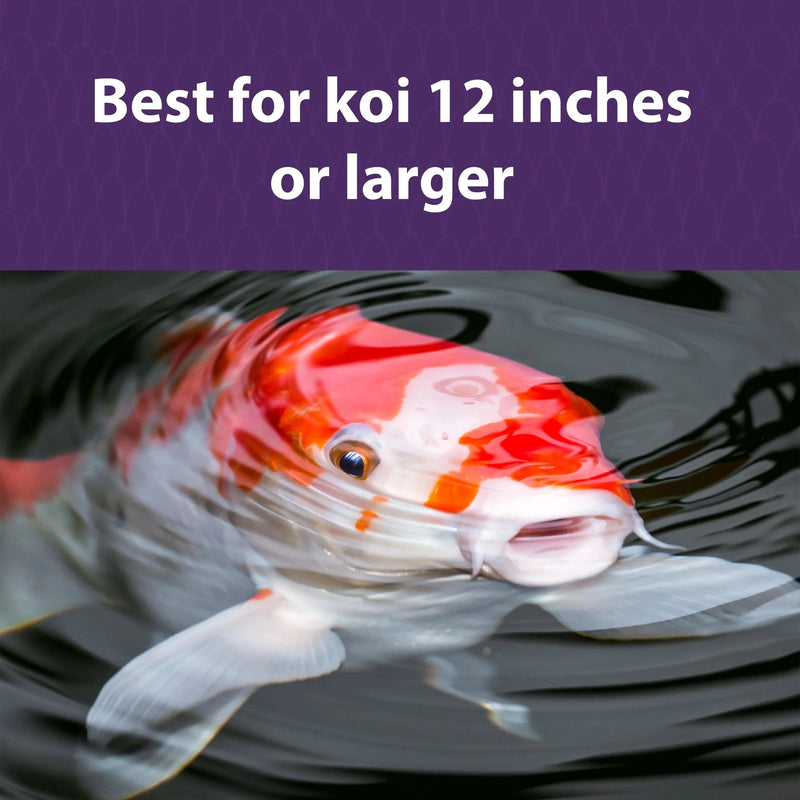 Mazuri Koi Platinum Ogata Floating Diet - 20 lbs
