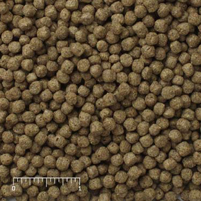 Mazuri Koi Pond Nuggets Floating Diet - 20 lbs
