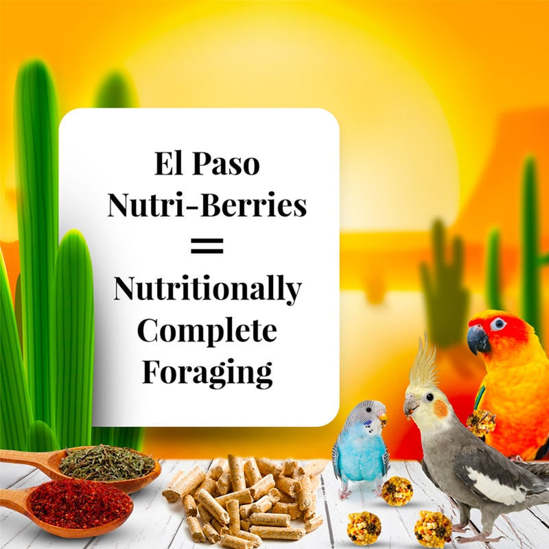 Lafeber's El Paso Nutri-Berries Small Bird
