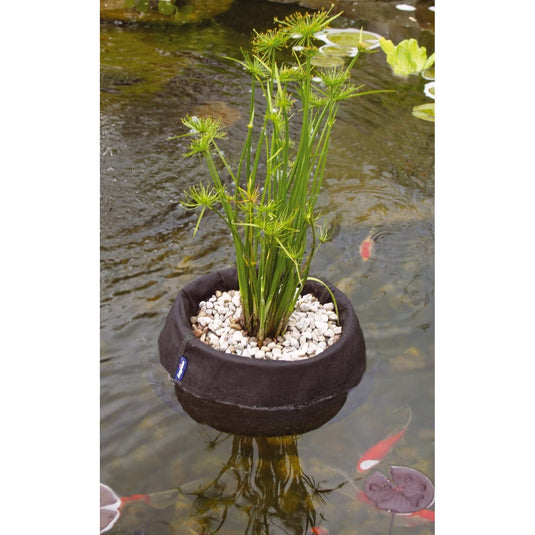 Floating Aquatic Planting Basket - 3 Sizes