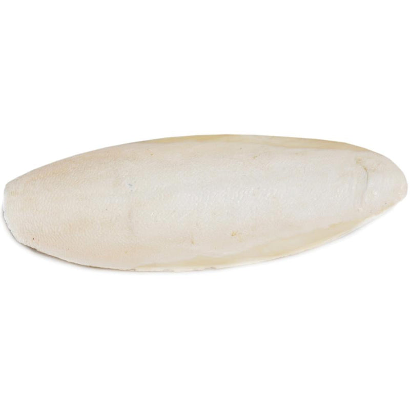 Cuttlebone for Birds & Reptiles - Great for Calcium
