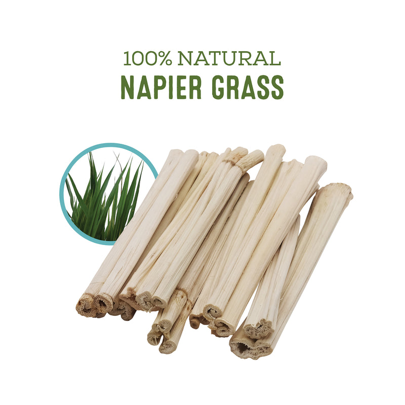 Living World Napier Grass Sticks Small Pet Chews - 61112
