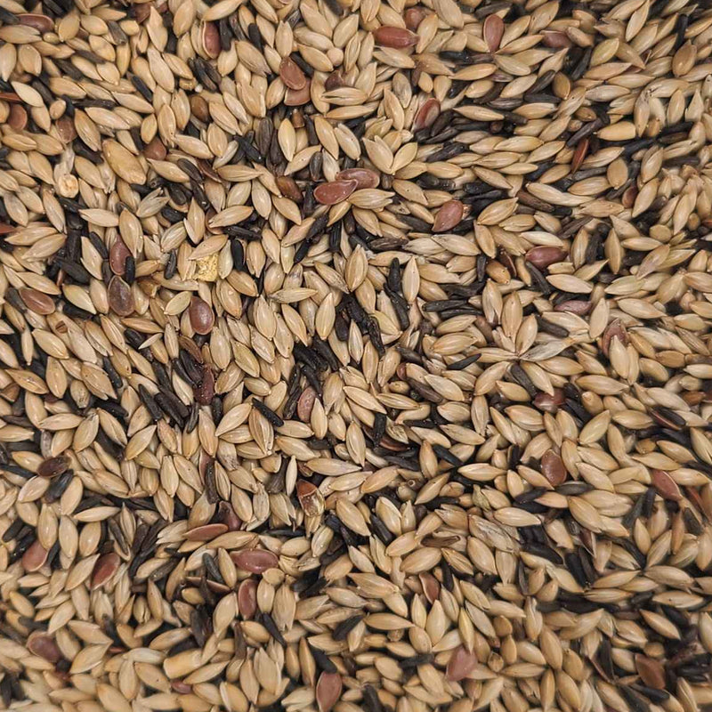 Mixed Canary Seed 🍁
