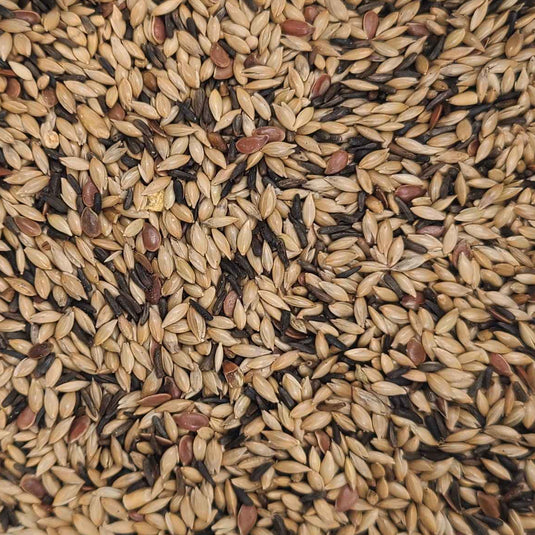 Mixed Canary Seed 🍁