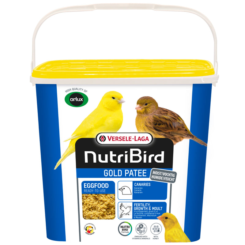 Orlux Gold Patee Moist Eggfood For Canaries
