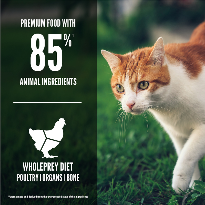 Orijen Fit & Trim Cat Food
