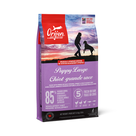 Orijen Large Breed Grain Free Puppy Food
