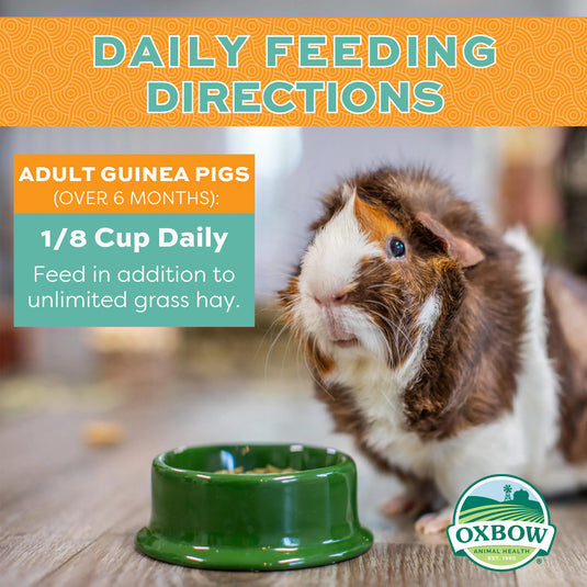 Oxbow Forage Wise Daily Adult Guinea Pig