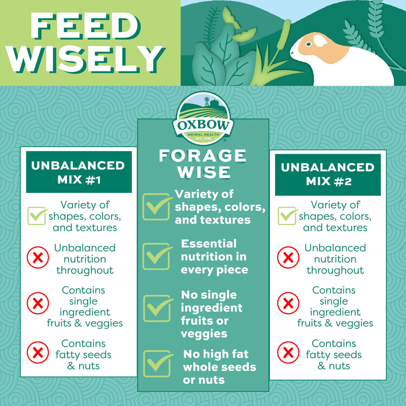 Oxbow Forage Wise Daily Adult Guinea Pig
