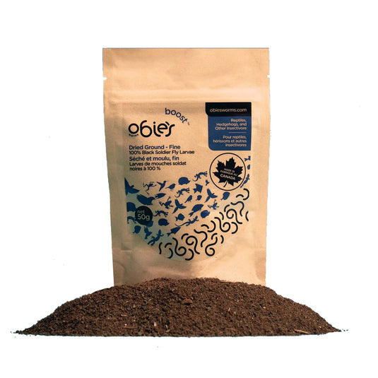 Obie's Boost - Soldierfly Larvae Powder