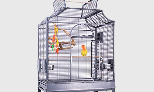 Cages for Parrots, Parakeets & Other Birds