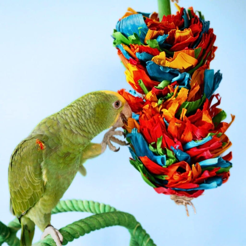 HARI Smart Play Enrichment Parrot Toy Corn Silk Cascade
