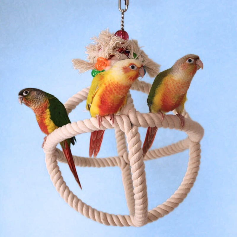 HARI Smart Play Rope Orbiter Perch n' Swing
