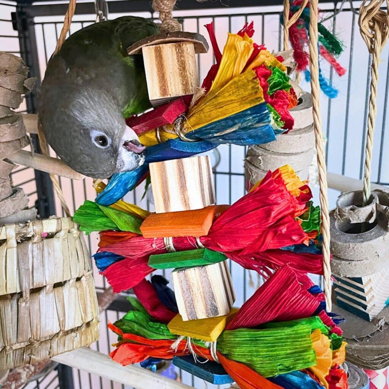 HARI Smart Play Enrichment Parrot Toy Rollie Pollie - 81082
