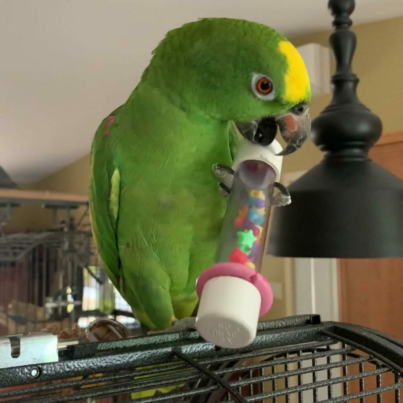 HARI Smart Play Enrichment Parrot Toy Rattle - 81002
