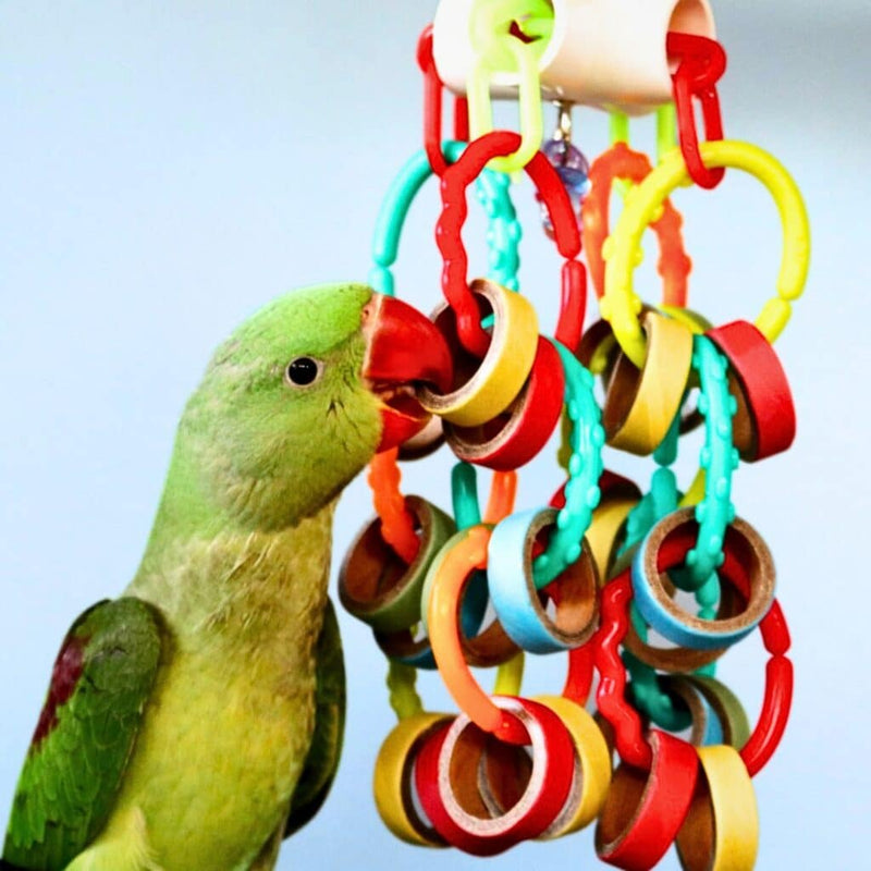 HARI Smart Play Enrichment Parrot Toy Bagel Cascade - 81014
