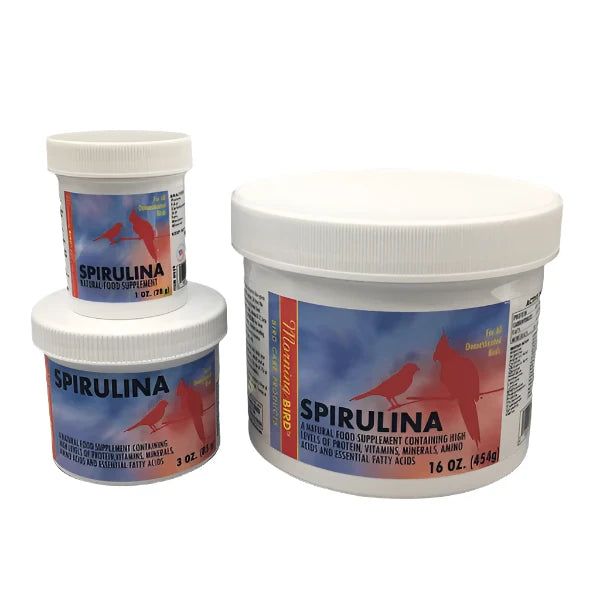 Spirulina Natural Food Supplement
