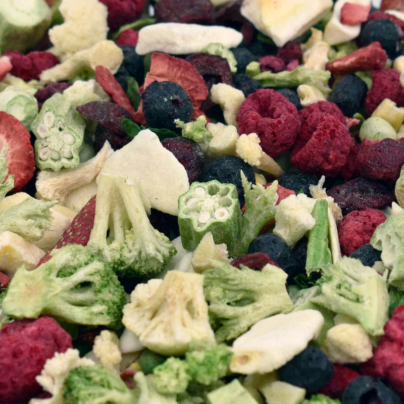 Tiv's Treats Fruit & Veggie Party Mix for Medium to Large Birds
