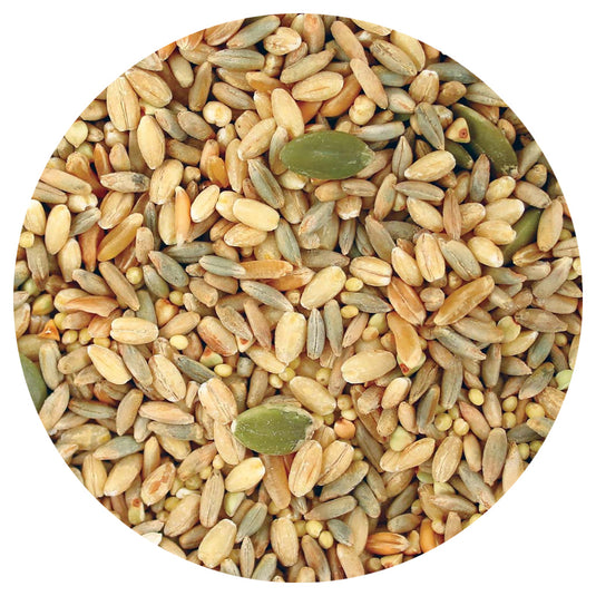 Tops All In One Seed Mix | USDA Organic Certified - Parrot / African Grey / Conure