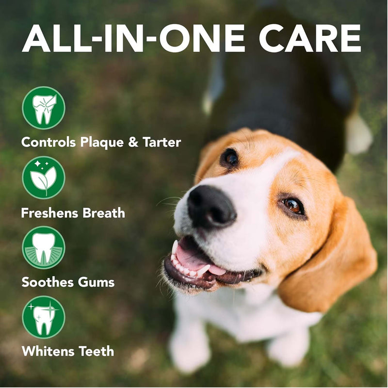 Dog Dental Care Kit - Toothbrush & Gel
