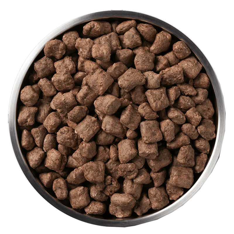 Vital Essentials Beef Nibs - Freeze-Dried Dog Food - 14 oz
