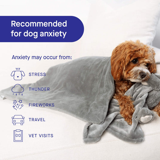 Calming Weighted Blanket for Dogs