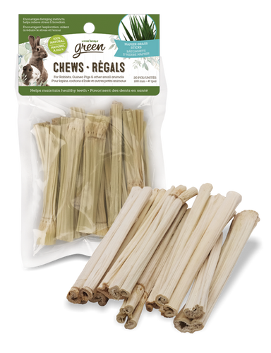 Living World Napier Grass Sticks Small Pet Chews - 61112