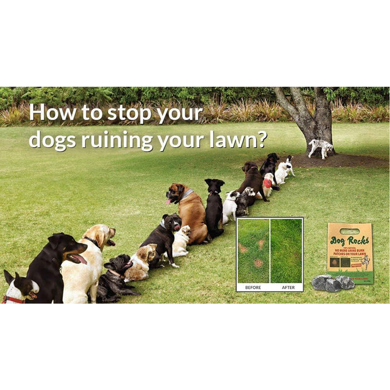 Dog Rocks Lawn Savers no Pet Burn Patches!
