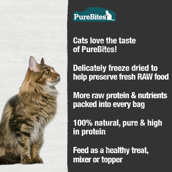 PureBites Minnows Freeze Fried Cat Treat 31g
