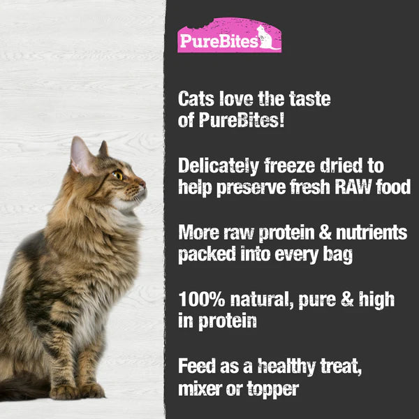 PureBites Salmon Freeze Dried Cat Treat
