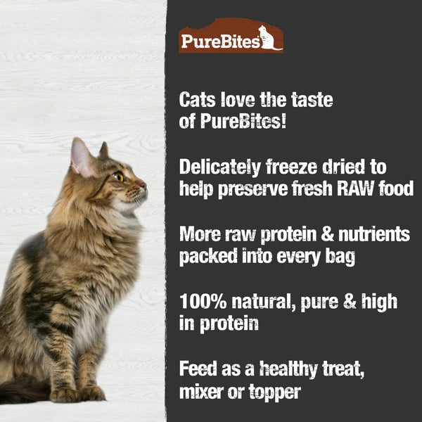 PureBites Turkey Freeze Dried Cat Treat
