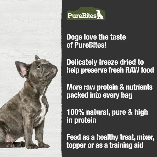 PureBites Beef Liver Freeze Dried Dog Treat
