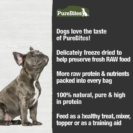 PureBites Beef Liver Freeze Dried Dog Treat