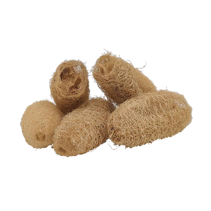 Zoo-Max Bird & Small Pet Toy Parts - Loofah
