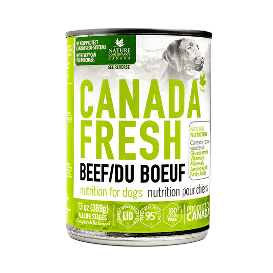 Canada Fresh Beef Pate Wet Dog Food