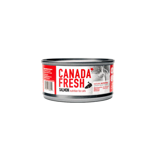 Canada Fresh Salmon Pate Wet Cat Food 🍁