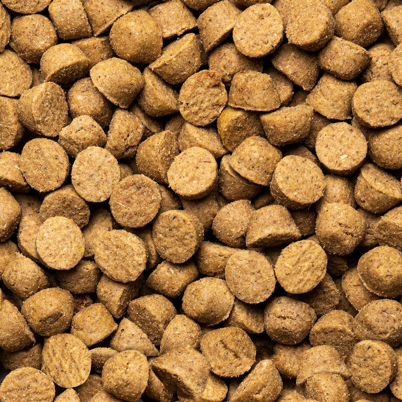 Oven Baked Tradition Small Breed Grain Free Dog Food - Red Meat 🍁
