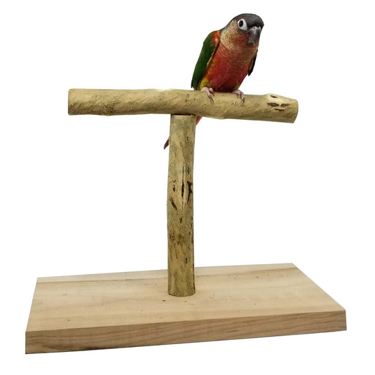 Bird Table Top Play Stands Exotic Wings and Pet Things Inc