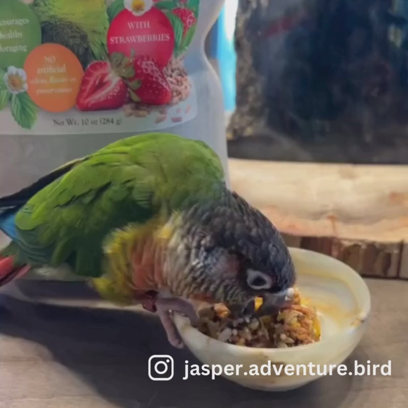 Load and play video in Gallery viewer, Lafeber&#39;s LIMITED EDITION Strawberry Nutri-Berries for Parrots
