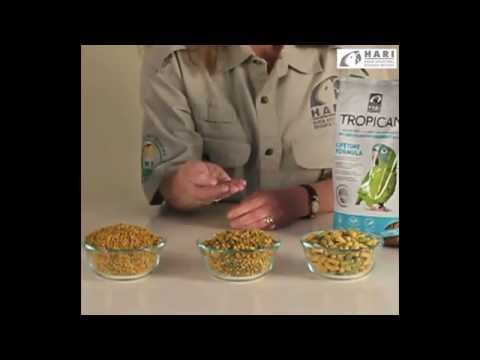 Load and play video in Gallery viewer, Tropican Lifetime Formula Sticks - Large Parrot Food 🍁
