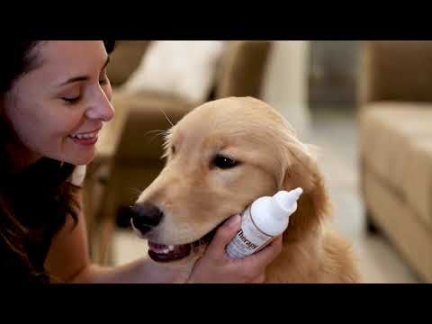 Dr. Gold's Ear Therapy for Dogs, Cats & Small Pets 4 fl.oz