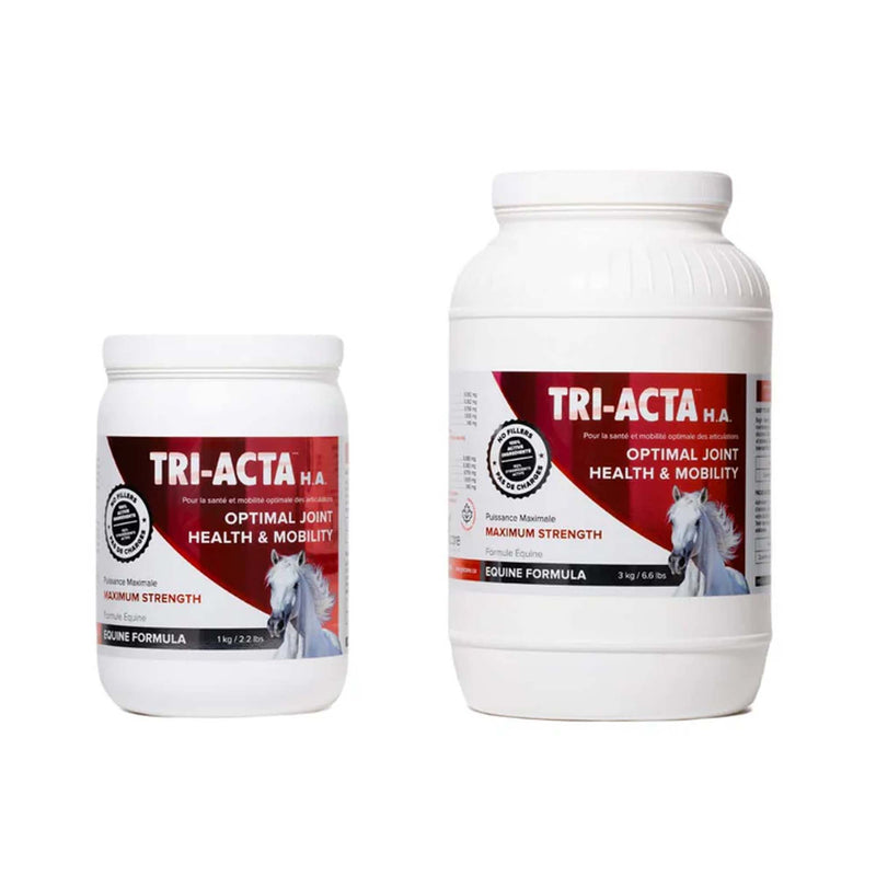Tri-Acta H.A Maximum Equine Mobility Support for Sport/Working & Retired Horses
