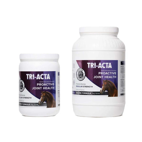 Tri-Acta Regular Strength Equine Mobility Support for Sport/Working & Retired Horses