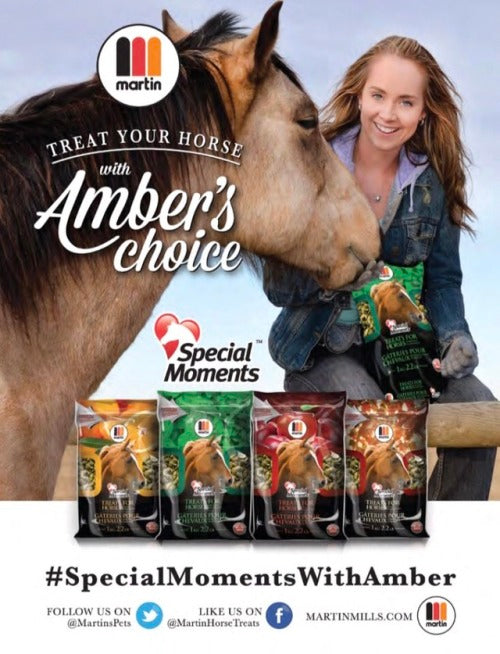 Special Moments Horse Treats - Maple Flavour (8 Pack)
