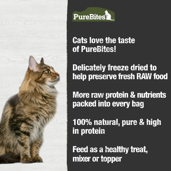 PureBites Beef Liver Freeze Dried Cat Treat
