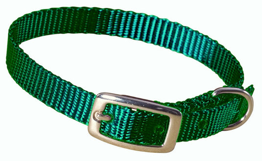 Hamilton Single Thick Nylon Collar w Buckle - Standard Series 3/8" (10-14"L)