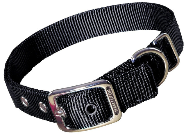 Hamilton Double Thick Nylon Collar w Buckle - Standard Series 1