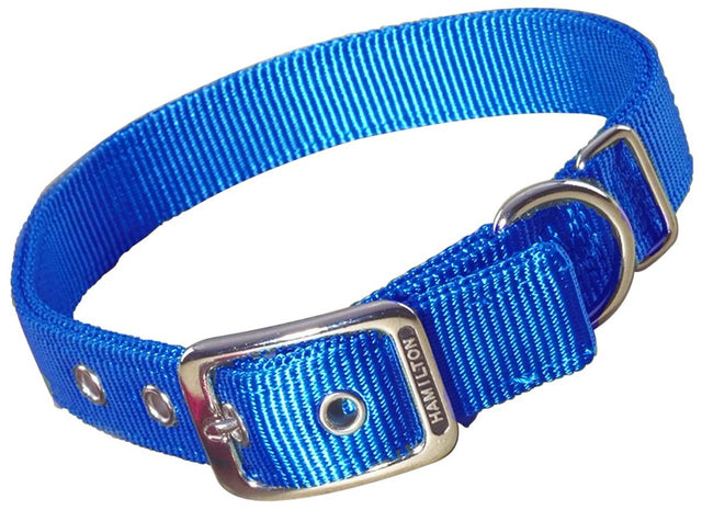 Hamilton Double Thick Nylon Collar w Buckle - Standard Series 1