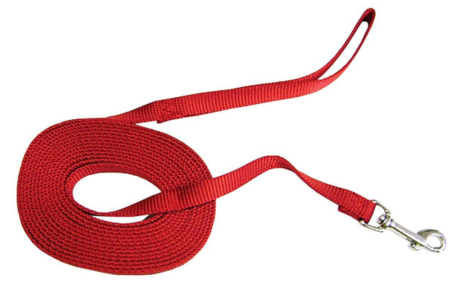 Hamilton Nylon Training Lead 5/8